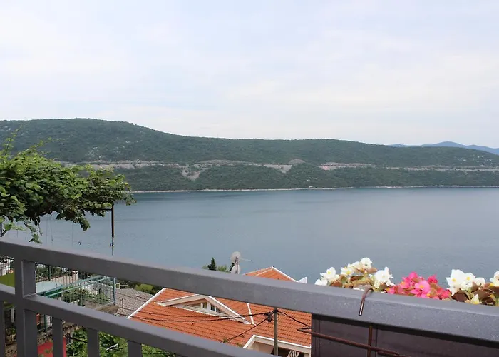 Put 招待所 内乌姆