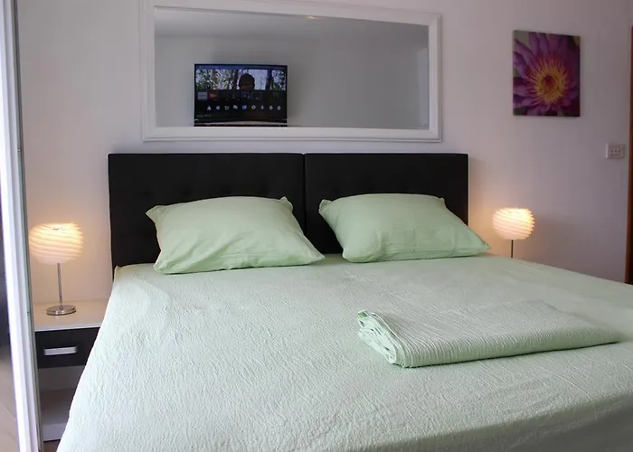 Put 招待所 内乌姆